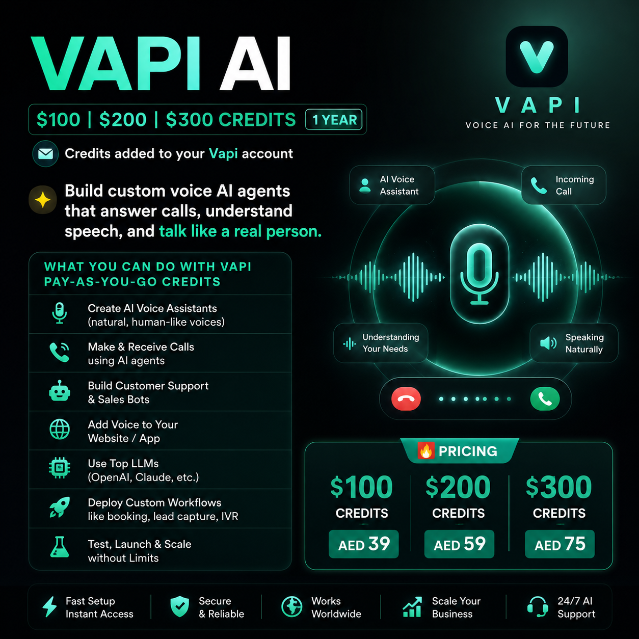 Vapi Credits